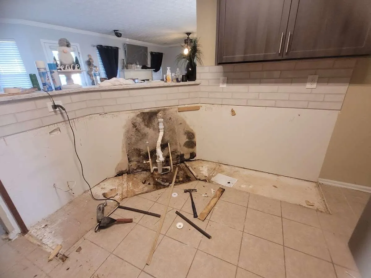 Mold behind wall with plumbing during Flood Damage Cleanup in Wilmette